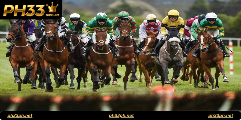 Common Types of Horse Racing Bets
