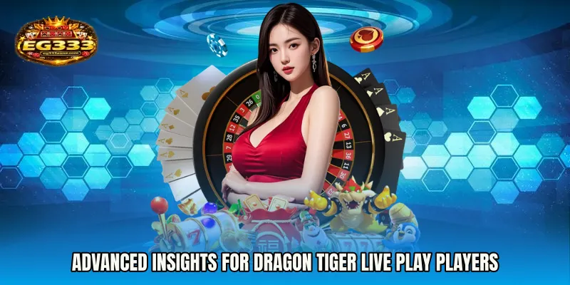 Advanced Insights for Dragon Tiger live play Players